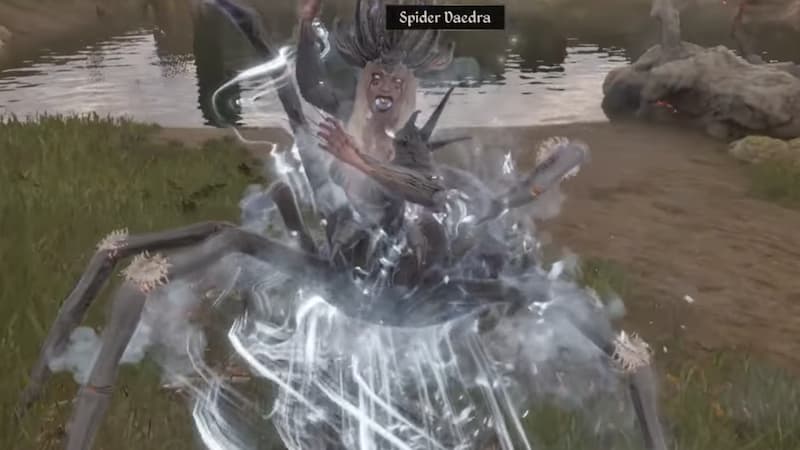 Spider Daedra in Oblivion Remastered